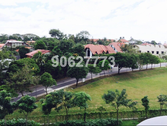 D'Leedon (D10), Condominium #36871712